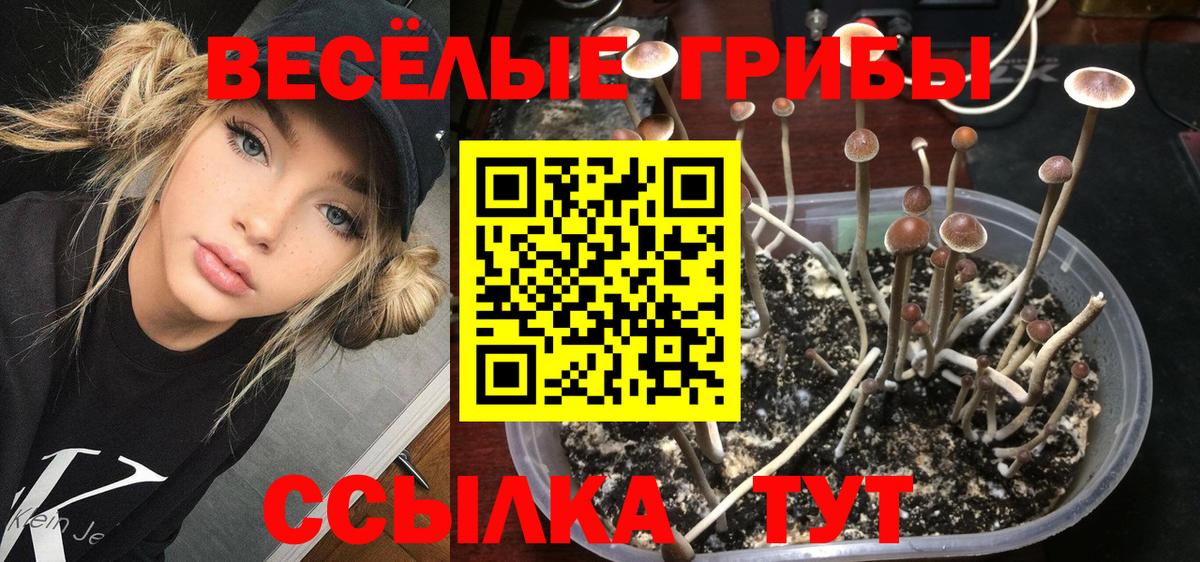 Галлюциногенные грибы Cubensis  Галлюциногенные грибы GOLDEN TEACHER  Вход с VPN  Ростов Великий 